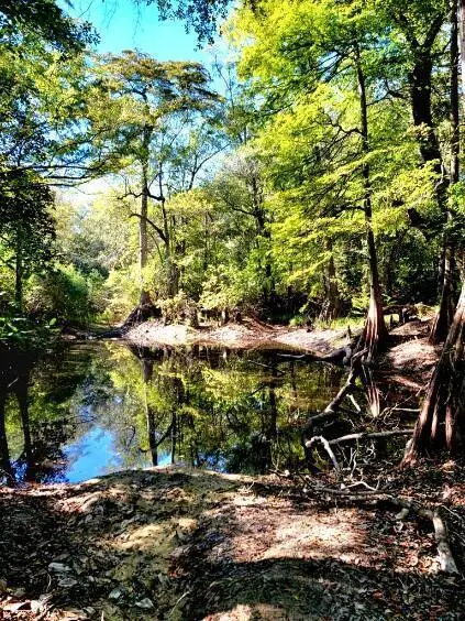 19 acres Walton Bridge Road, Ponce De Leon, FL 32455 - Image #3