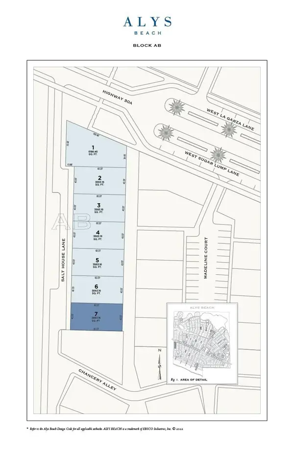 AB7 Salt House Lane, Inlet Beach, FL 32461