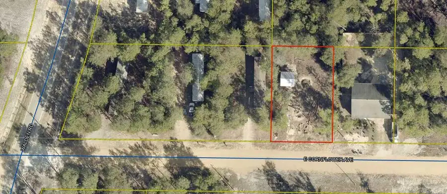 XXX Cornflower Avenue, Defuniak Springs, FL 32433 - #3