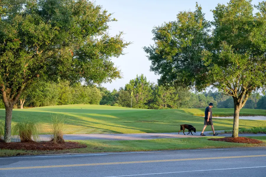 TBD Green Heron Street #Lot 35, Keystone, FL 32461 - Image #3