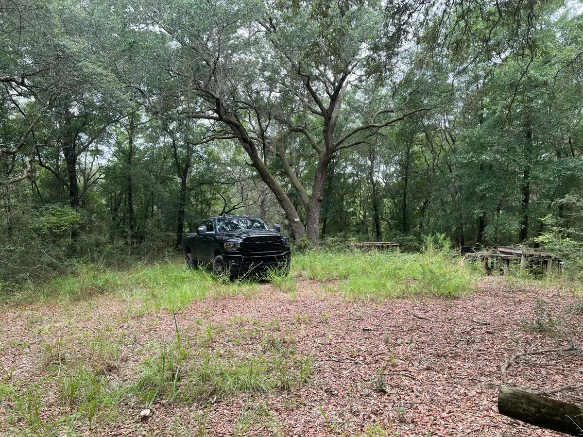 XXXX Lonesome Pine Street Street, Holt, FL 32564 - #1