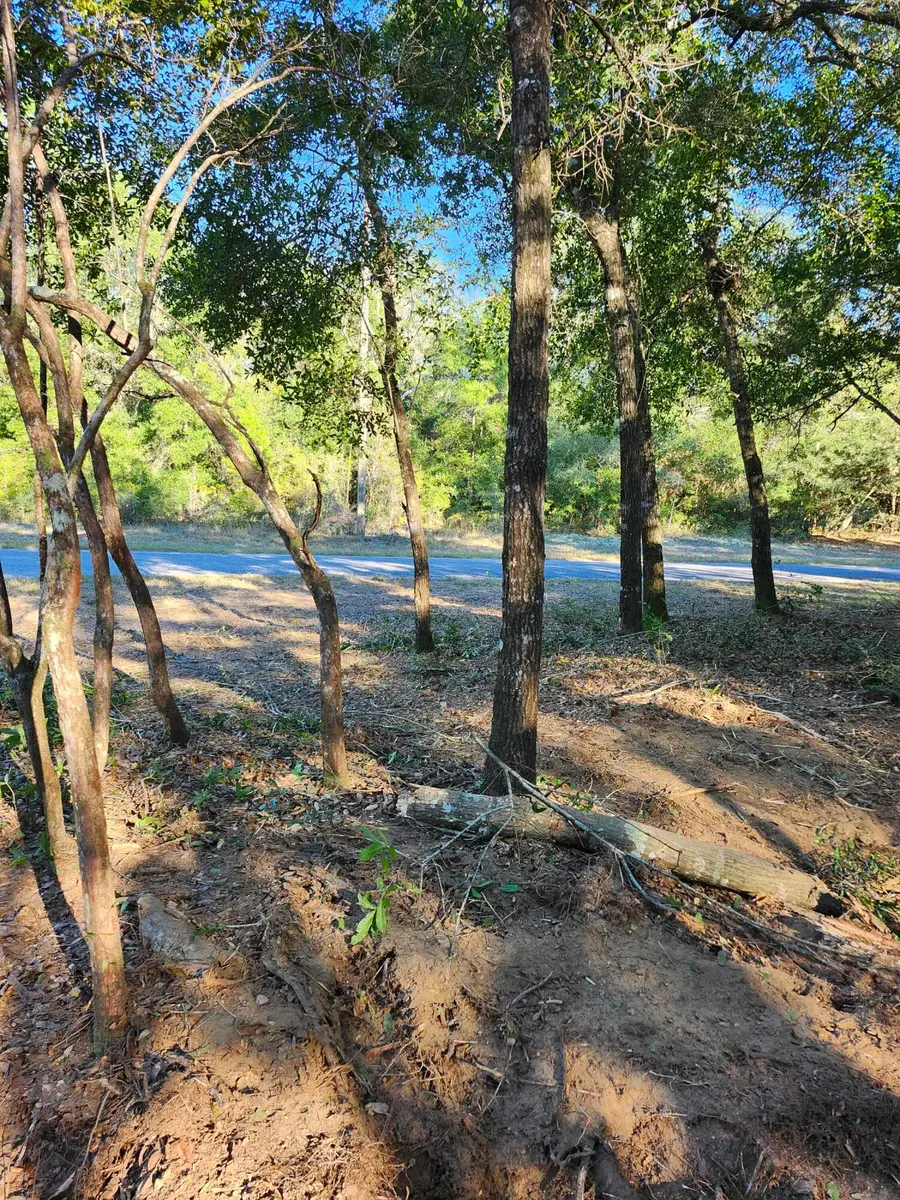 Lot 37 Diane Place, Chipley, FL 32428 - Image #3