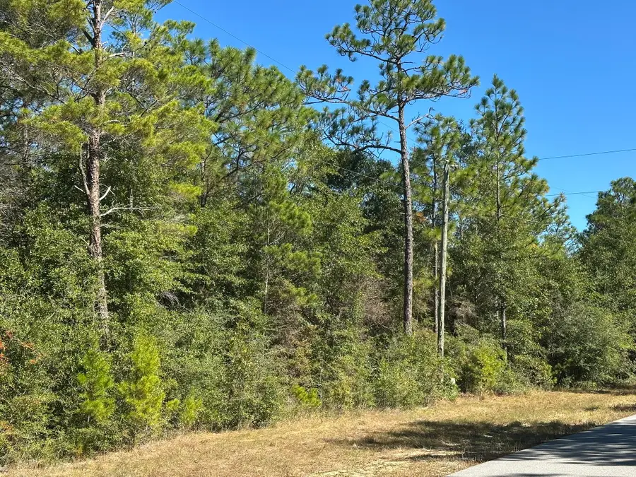 TBD Bear Head Road, Crestview, FL 32539 - Image #2