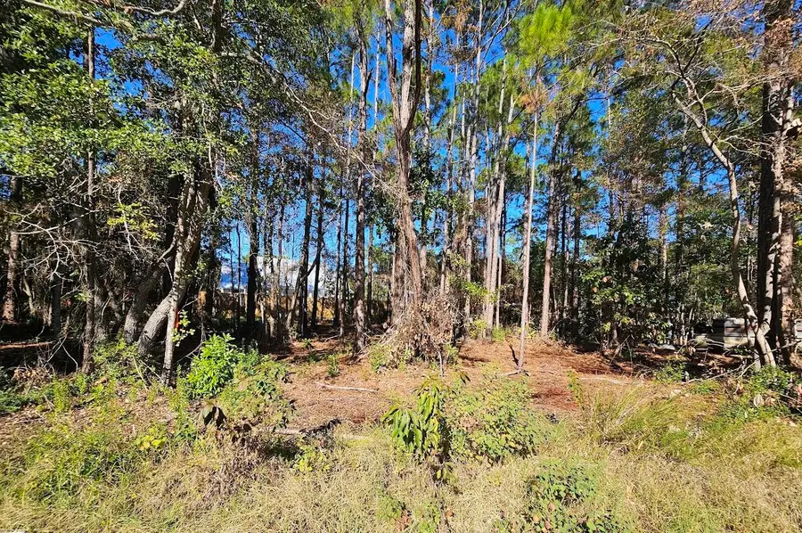 XY Nikki Circle, Santa Rosa Beach, FL 32459 - #2