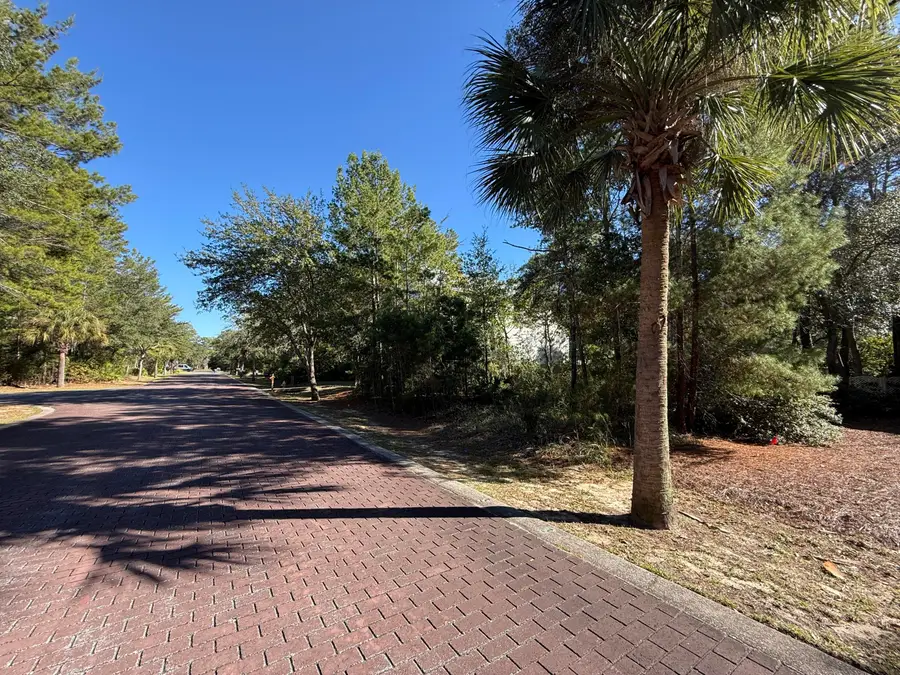 TBD Riker Avenue, Santa Rosa Beach, FL 32459 - #3