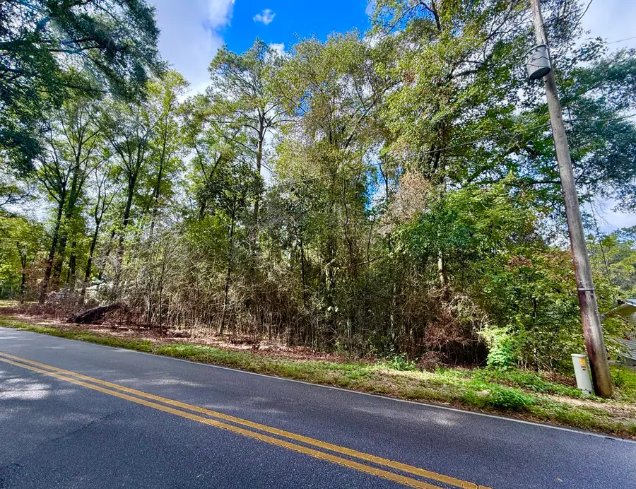 Lot 3 N Norwood Road, Defuniak Springs, FL 32433 - Image #2