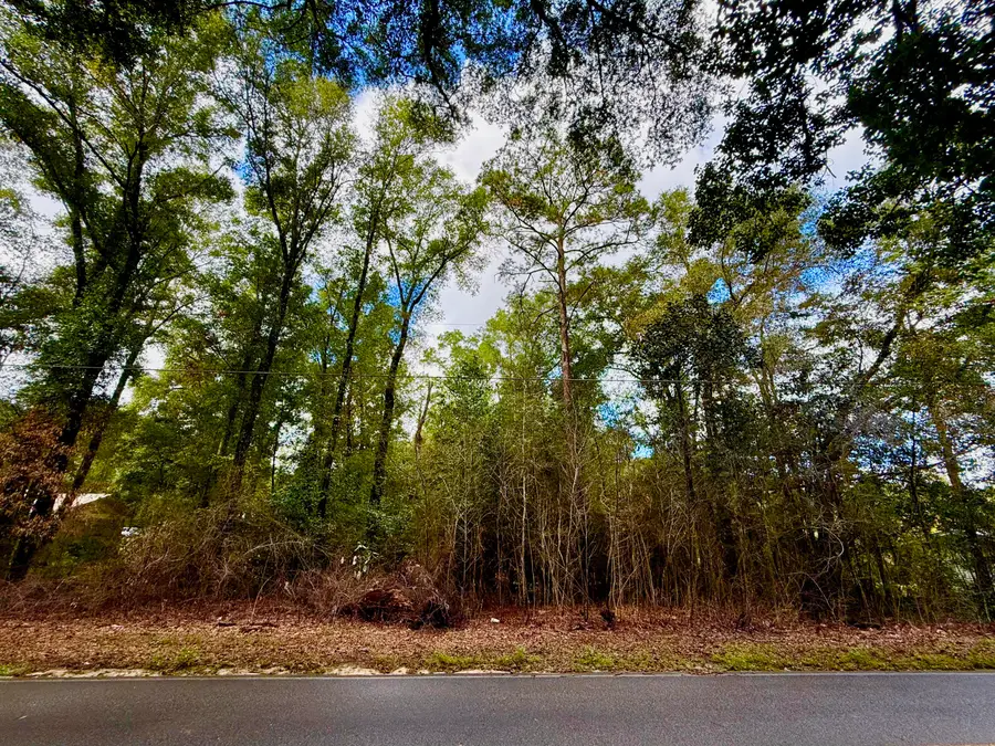 Lot 3 N Norwood Road, Defuniak Springs, FL 32433 - Image #3