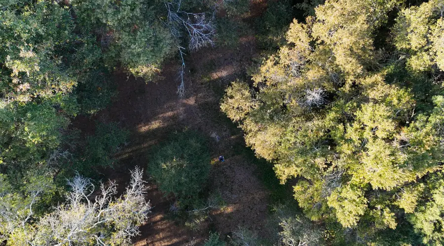 276 Squirrel Road, Defuniak Springs, FL 32433 - Image #2