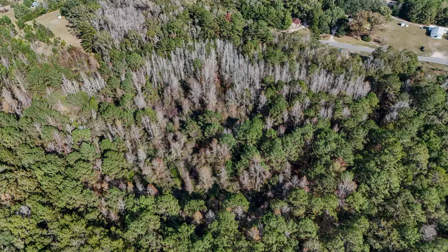 TBD Co Highway 181-c, Ponce De Leon, FL 32455 - Image #2