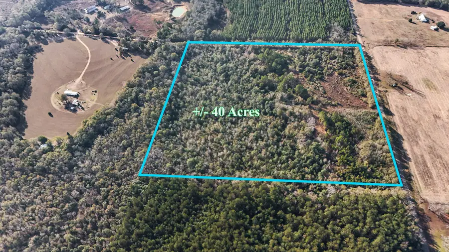 30772 Smyrna Road, Florala, AL 36442 - Image #2