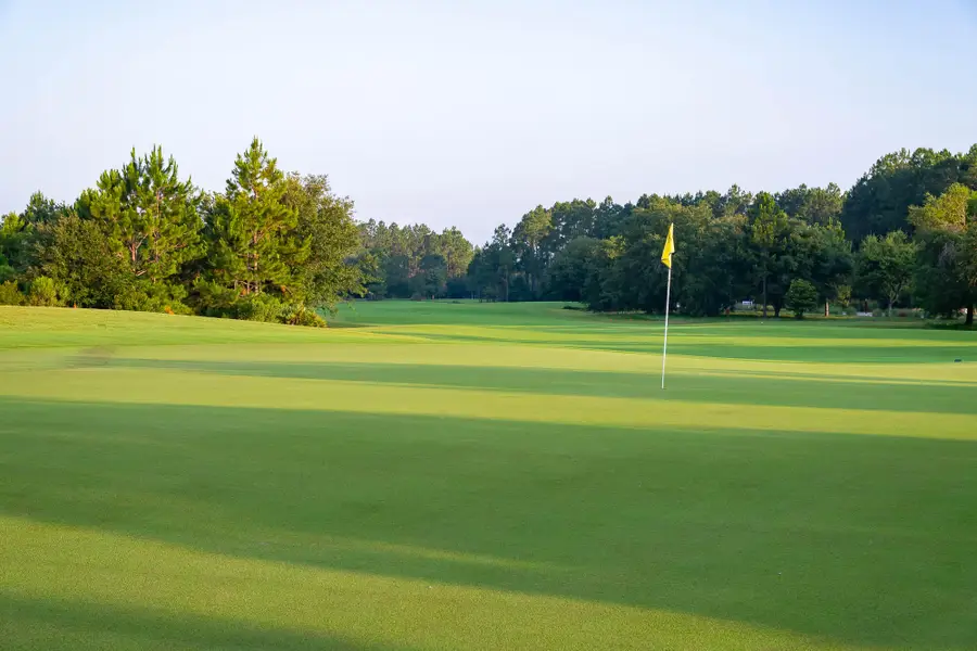 TBD Green Heron Street #Lot 40, Watersound, FL 32461 - Image #3