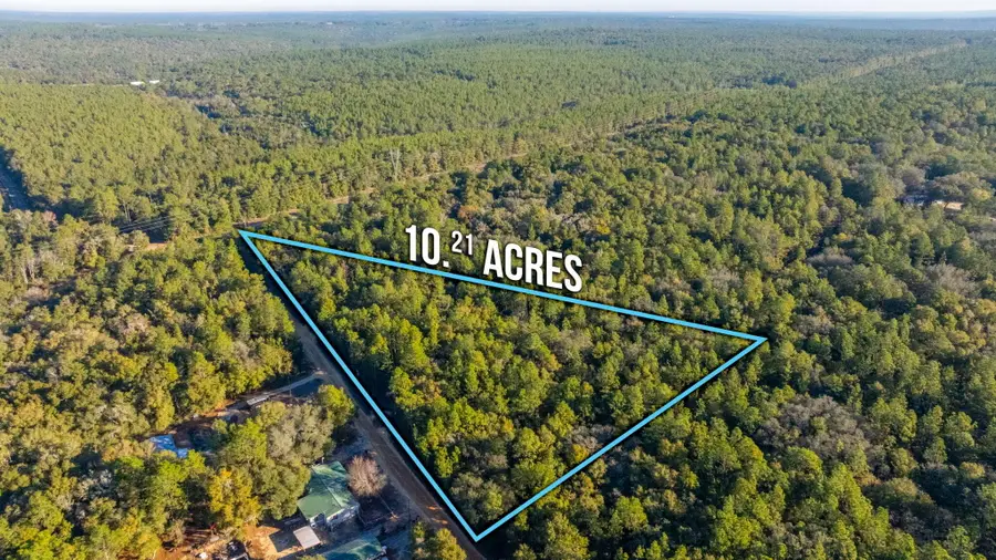 10+ AC Broxson Road, Holt, FL 32564 - Image #3