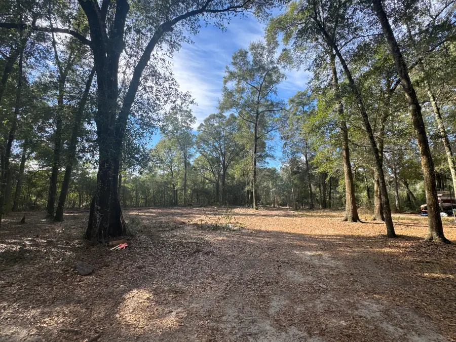 2 Acres N Norwood North Road, Defuniak Springs, FL 32433 - Image #2