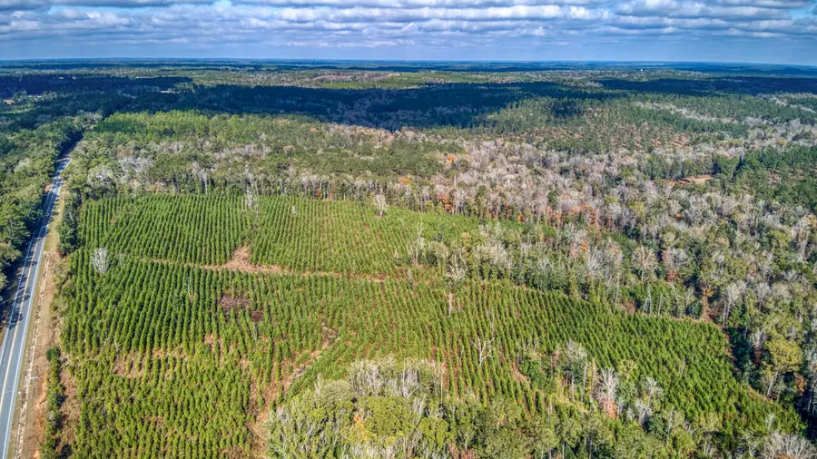 0 Bainbridge Rd Highway, Quincy, FL 32351 - Image #2