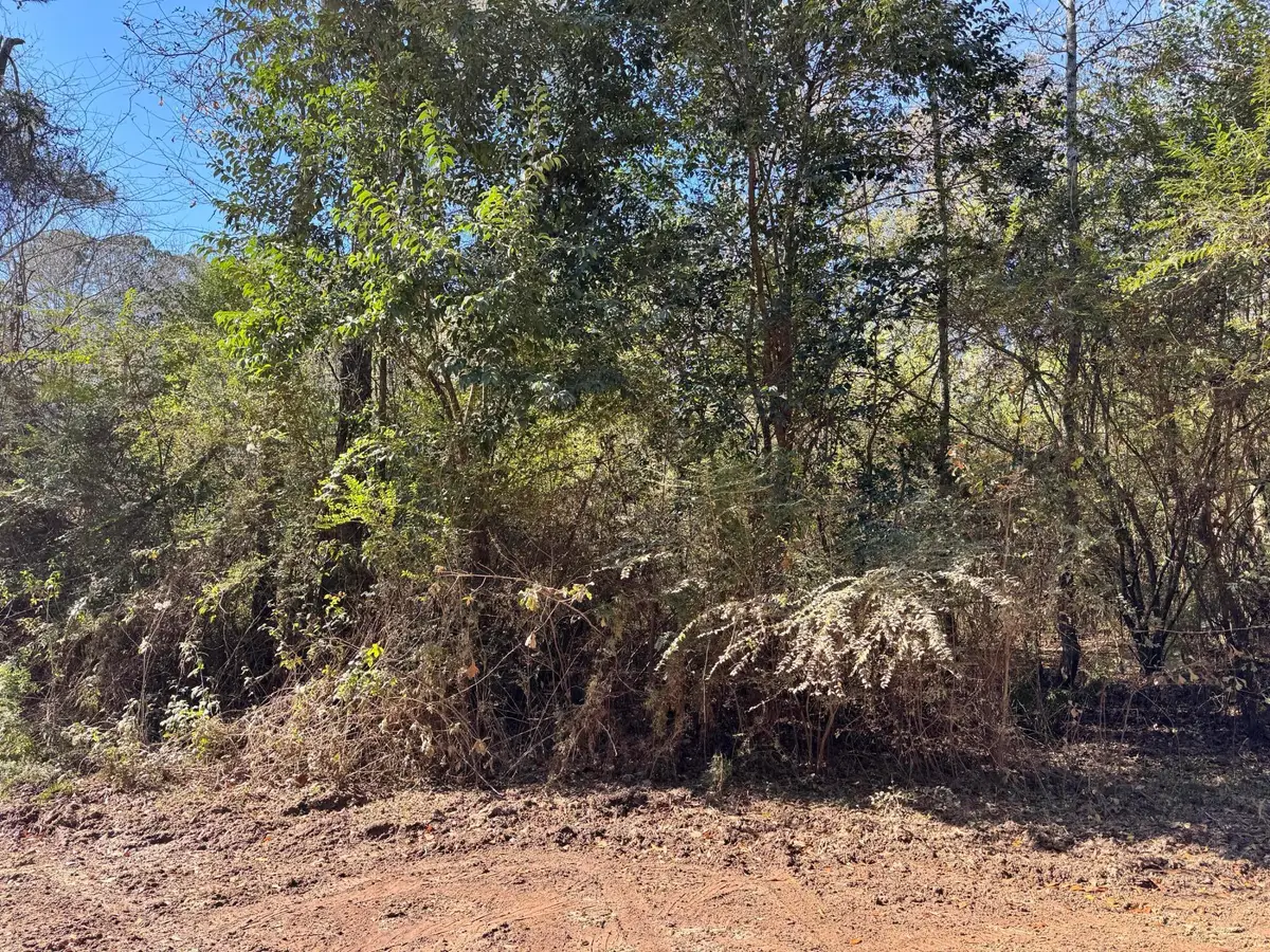 0 Gibson Street, Elba, AL 36323 - #1