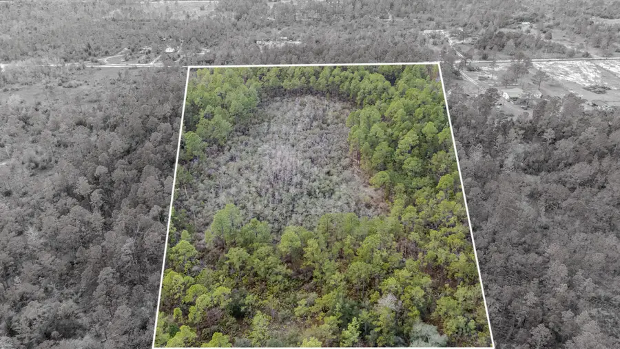 3-1N-11W Baker Rd, Altha, FL 00N/A - #2