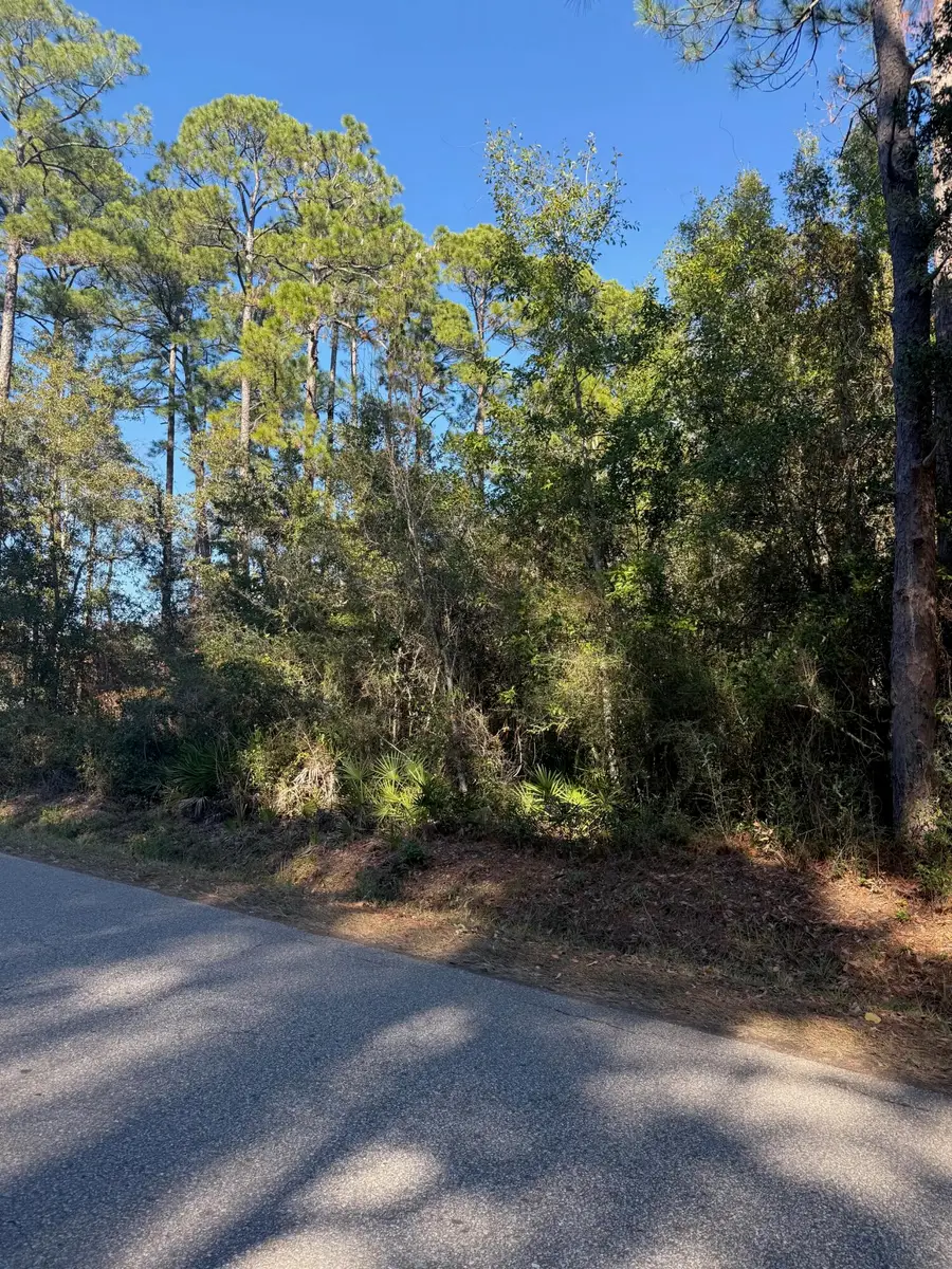 Lot 4 Nelson Street, Navarre, FL 32566 - #3