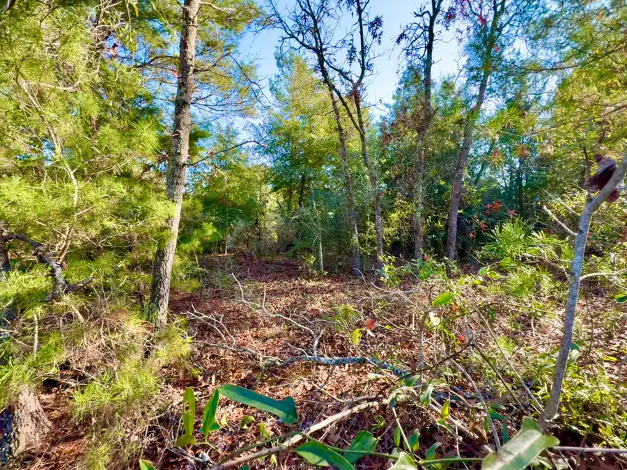 Lot 6 Blk 14 E Tiger Lily Lane, Defuniak Springs, FL 32433 - Image #2