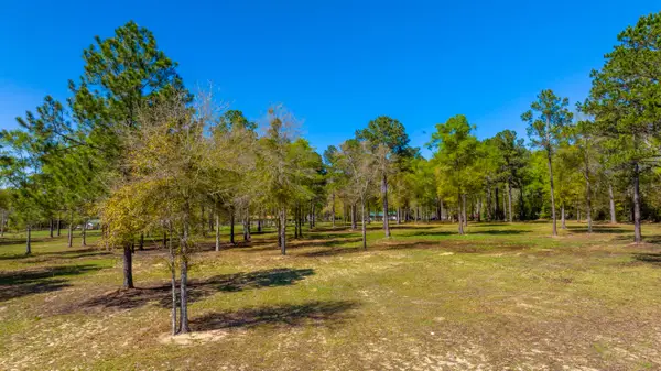 20 Acres Cannon Drive, Paxton, FL 32538