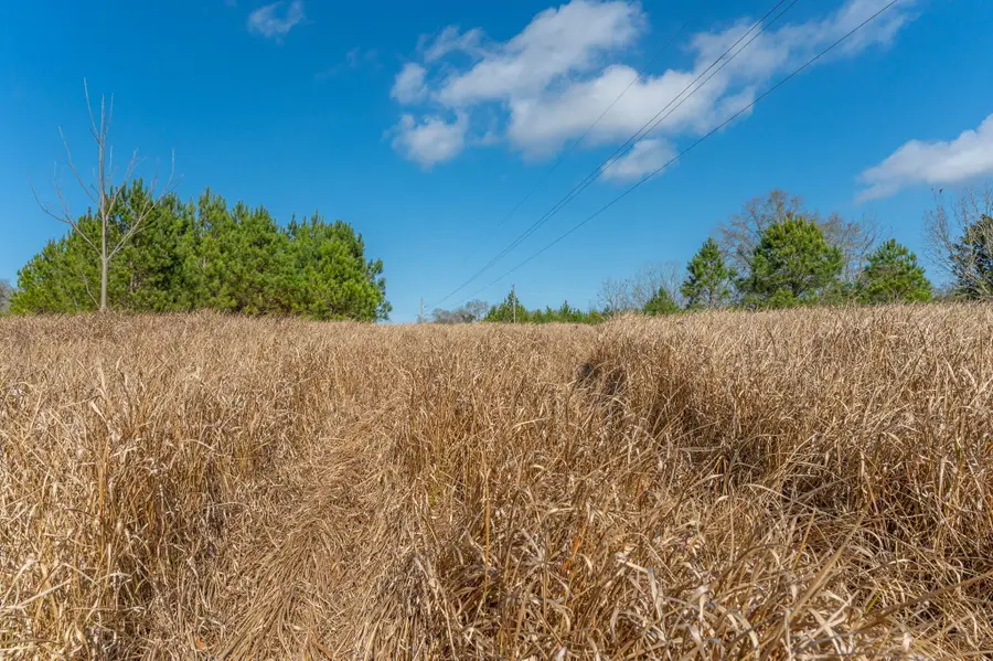 13567 Cotton Rd, Andalusia, AL 36420 - Image #2