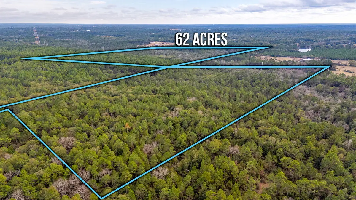 60 Acres Maes Lane, Defuniak Springs, FL 32433 - Image #1