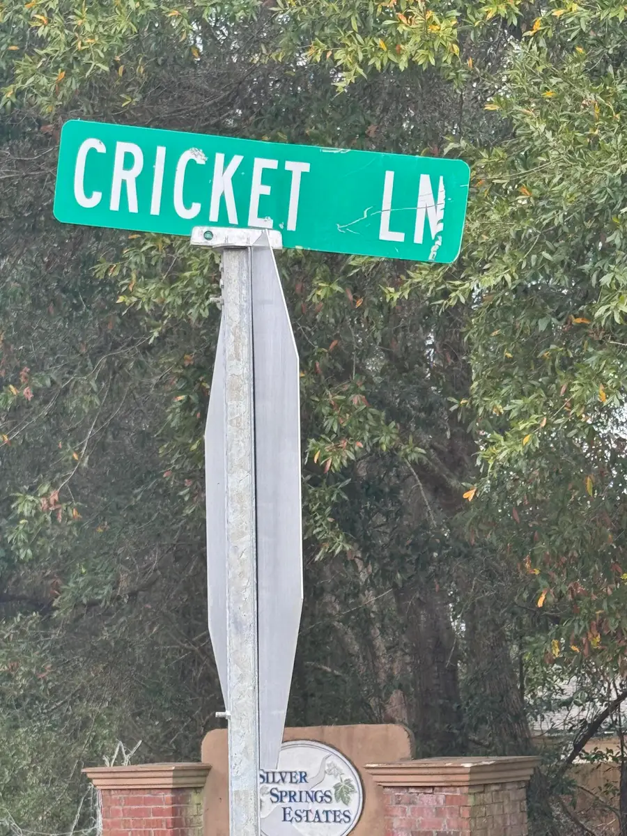 1.3 Acres Cricket Lane, Crestview, FL 32539 - Image #3