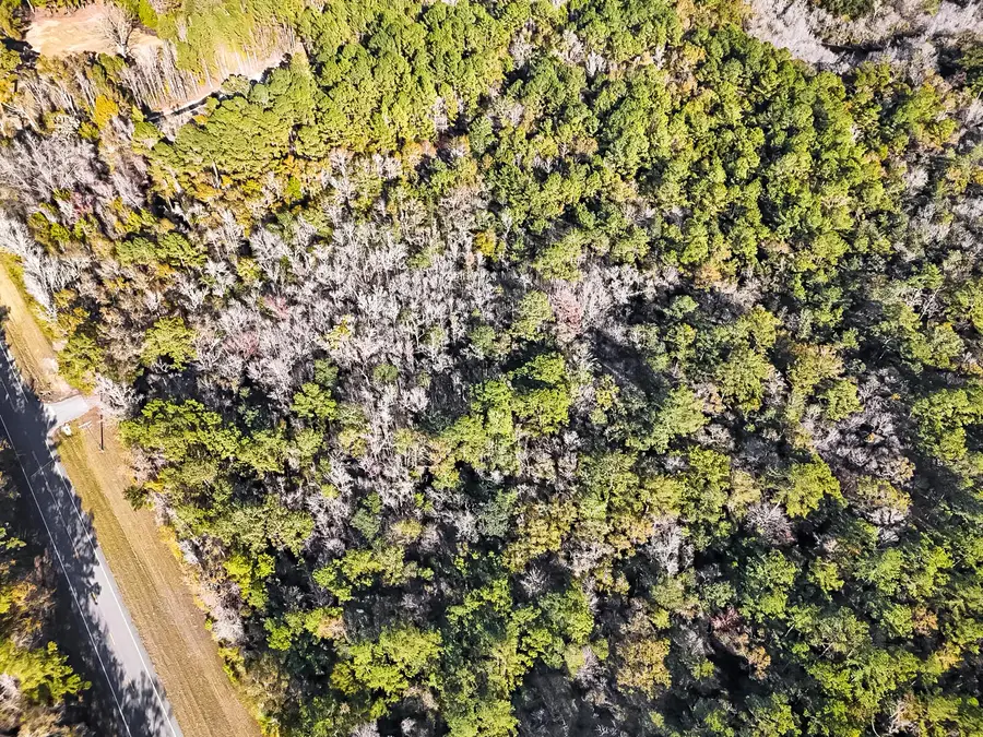 0 State Highway 81, Ponce De Leon, FL 32455 - Image #2