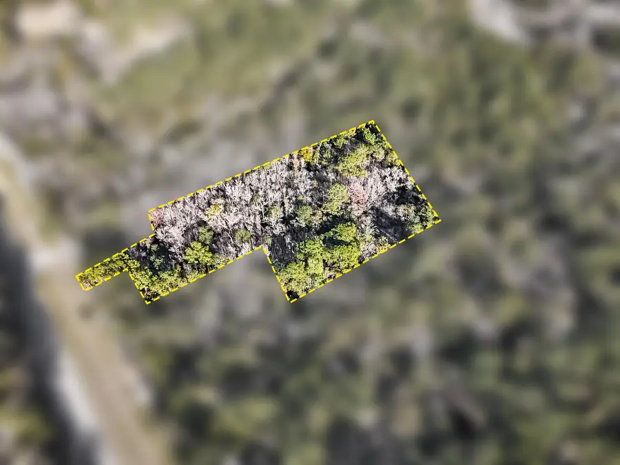 0 State Highway 81, Ponce De Leon, FL 32455 - Image #3