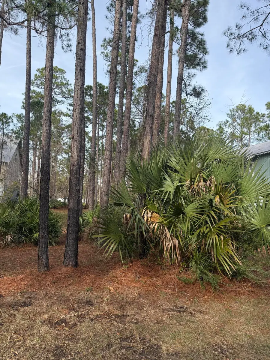 Lot I-26 Mallard Lane, Santa Rosa Beach, FL 32459 - Image #2