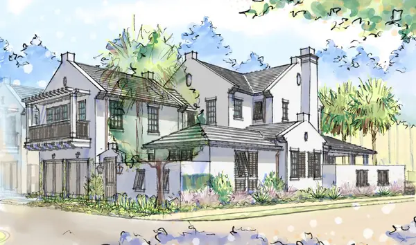 16 Pelham Alley, Inlet Beach, FL 32461