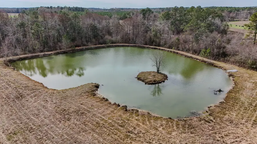 18.57 Acre Icie Pine Rd Road, Westville, FL 32464 - Image #2