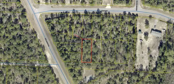 Lots 23/24 Off Girl Scout Road, DeFuniak Springs, FL 32433