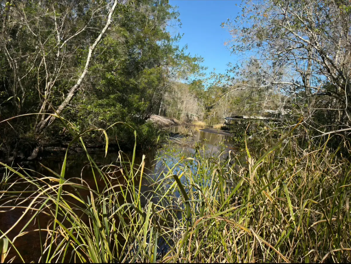 140 Stencel Drive, Vernon, FL 32462 - Image #1