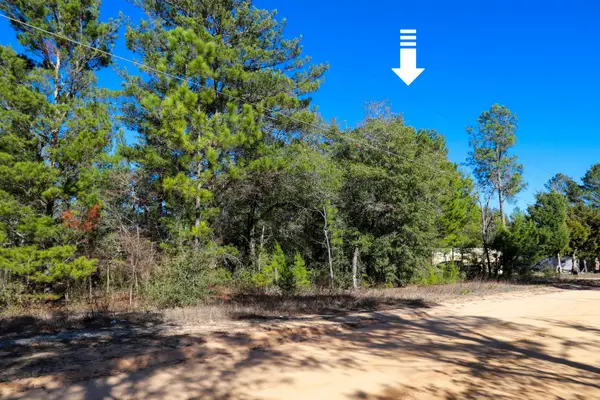 LOT 23 E Marigold East Avenue, DeFuniak Springs, FL 32433