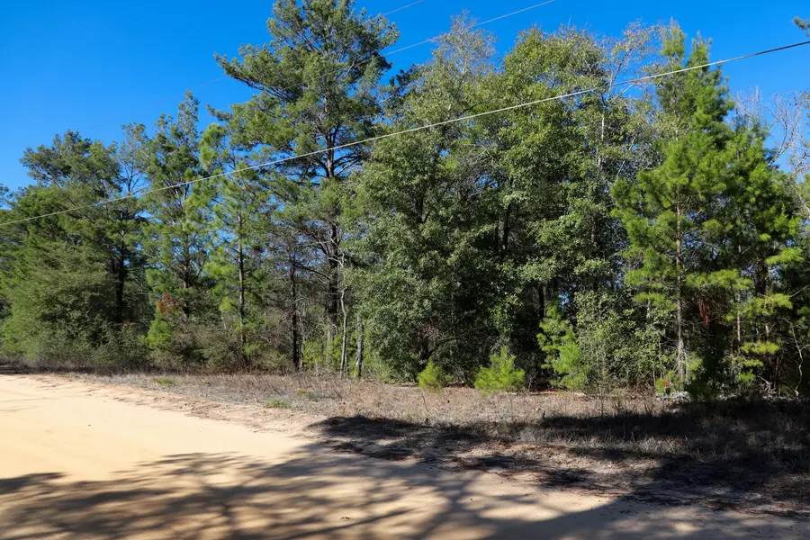 LOT 23 E Marigold East Avenue, Defuniak Springs, FL 32433 - Image #3