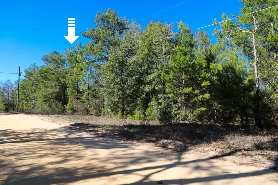 LOT 24 E Marigold Avenue, Defuniak Springs, FL 32433 - Image #2