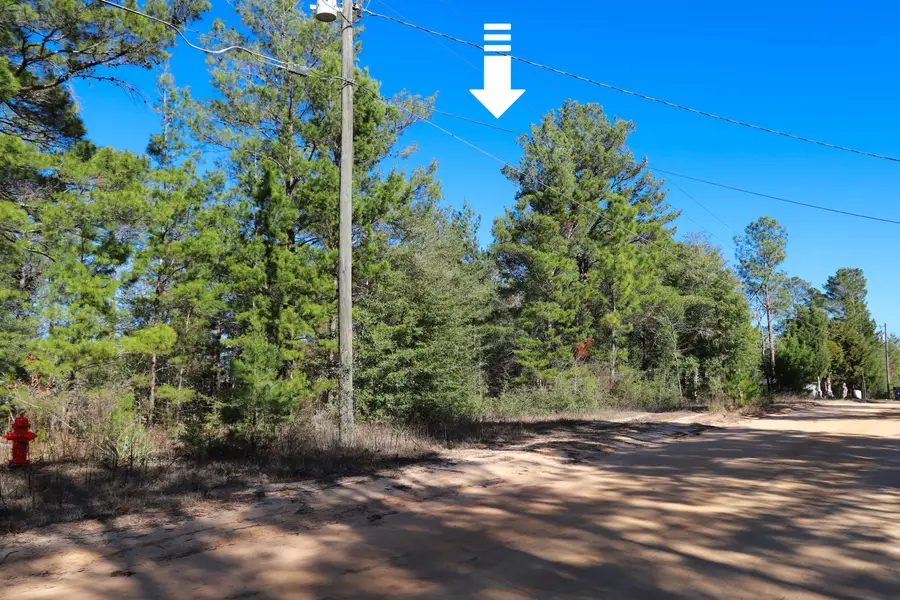LOT 24 E Marigold Avenue, Defuniak Springs, FL 32433 - Image #3