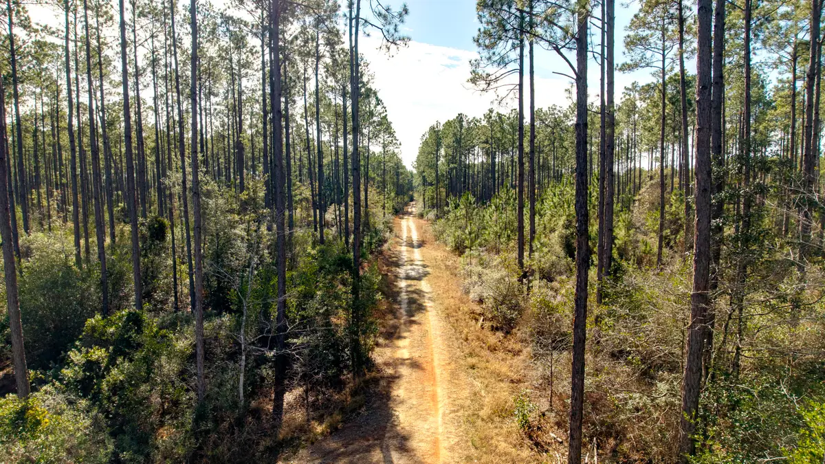 TBD Tpke Crk Drive, Freeport, FL 32439 - Image #1