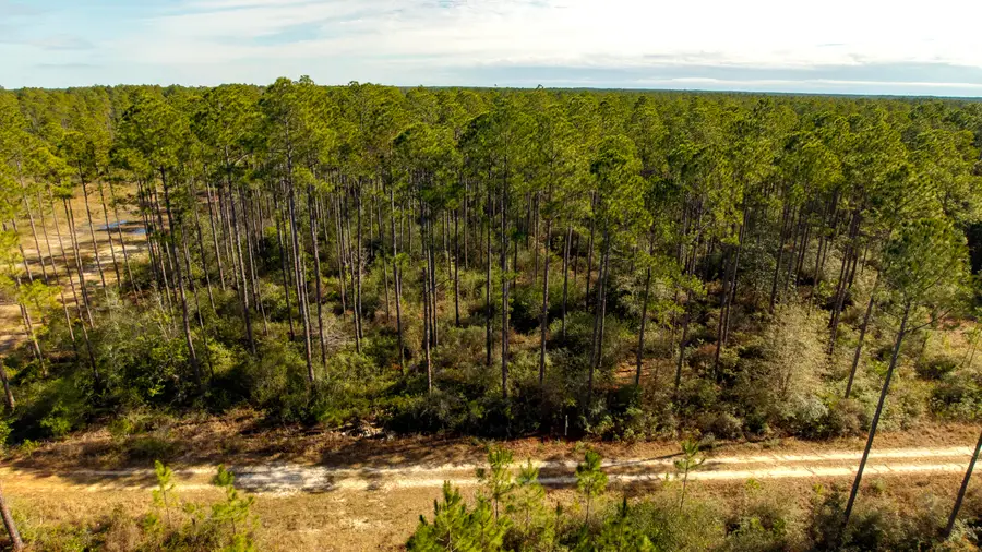 TBD Tpke Crk Drive, Freeport, FL 32439 - Image #2