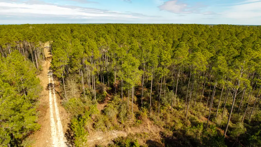 TBD Tpke Crk Drive, Freeport, FL 32439 - Image #3