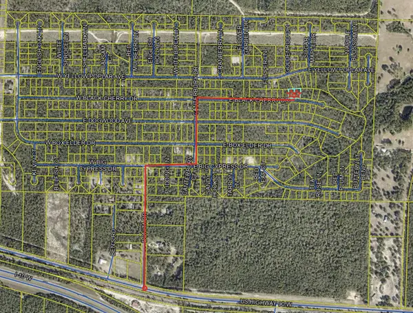 lot 28-29 E Black Cherry Drive, DeFuniak Springs, FL 32433