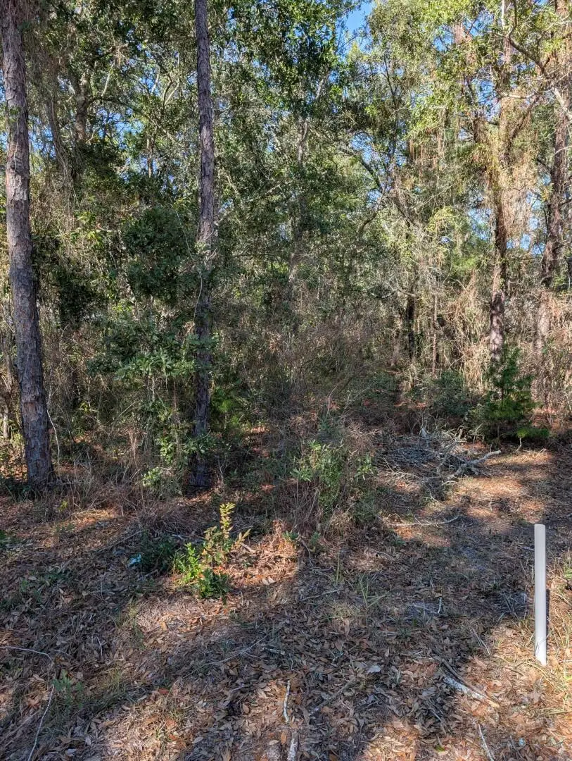 0 Morrison Avenue, Santa Rosa Beach, FL 32459 - Image #2