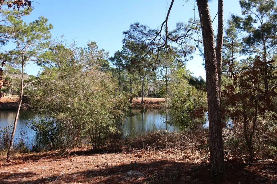 1606 Shark's Tooth Trail, Panama City Beach, FL 32413 - Image #3