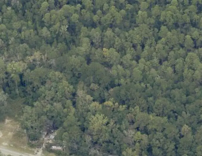 1102 St Hwy 20 W, Freeport, FL 32439 - Image #1