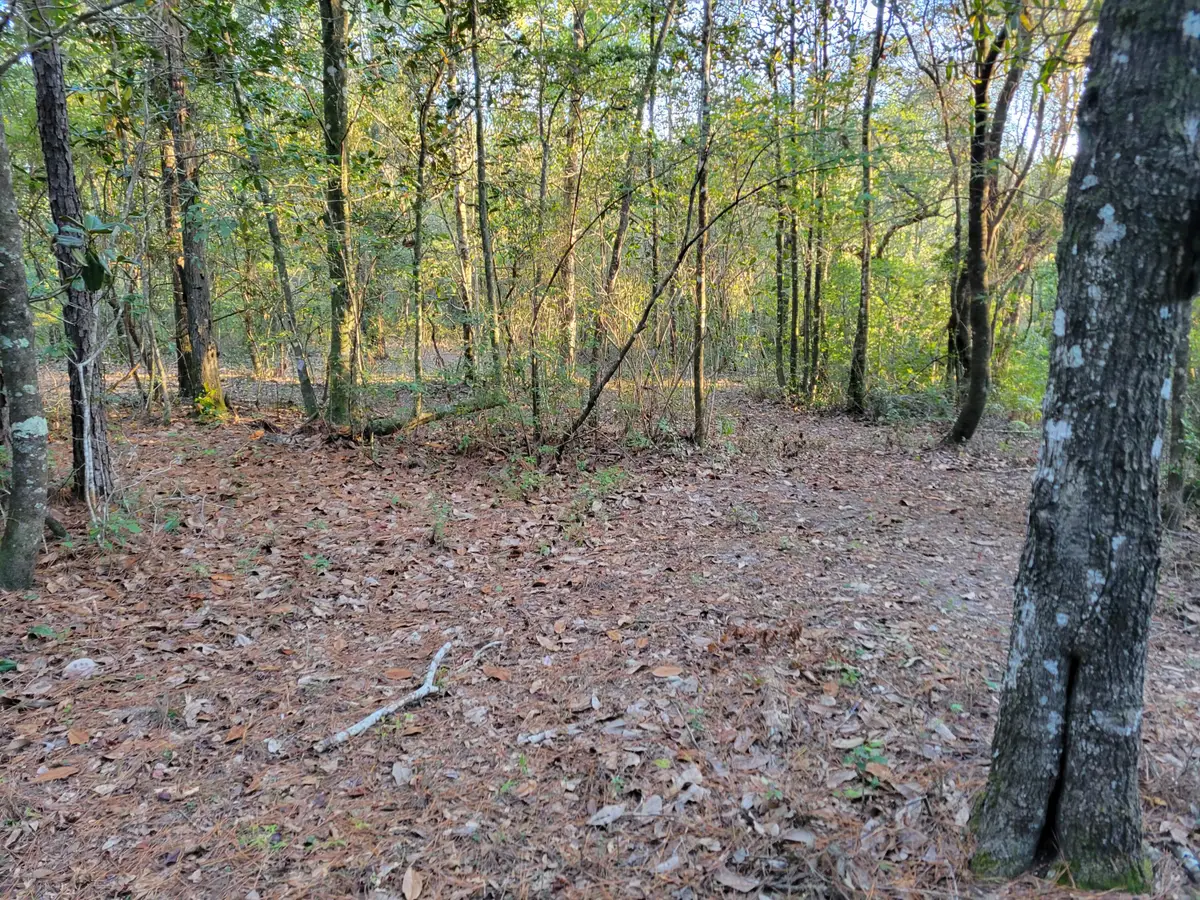 000 Hardwood Lane, Ponce De Leon, FL 32455 - Image #1