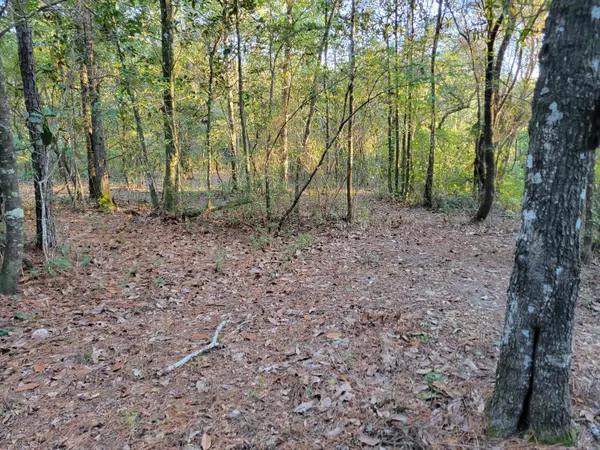 000 Hardwood Lane, Ponce De Leon, FL 32455