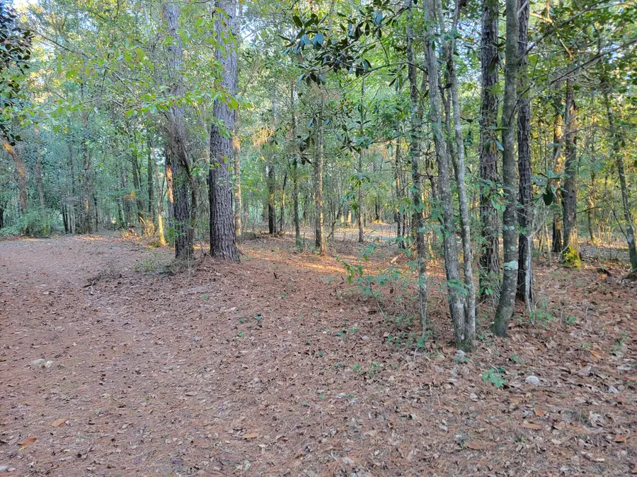 000 Hardwood Lane, Ponce De Leon, FL 32455 - Image #2