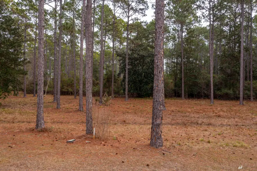7534 Morning Marsh Trail, Panama City Beach, FL 32413 - #2