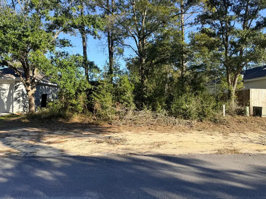 Lot 34 Caswell Branch Road, Freeport, FL 32439 - Image #3