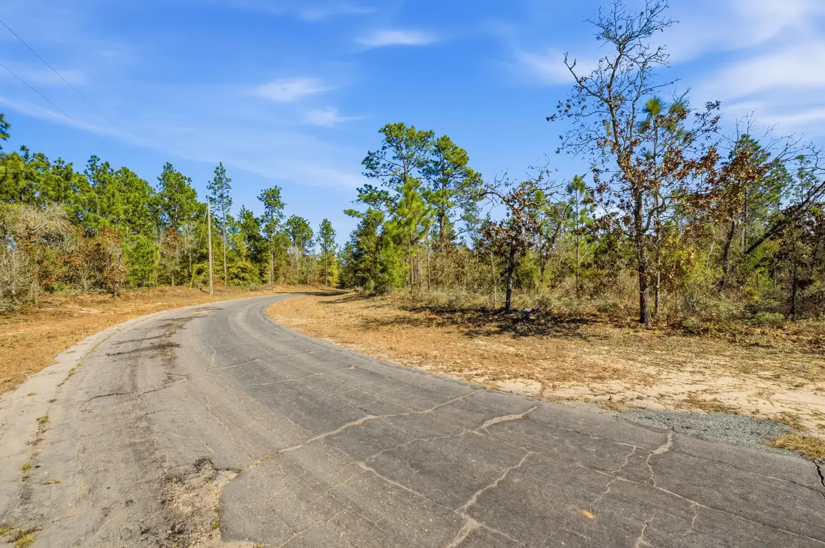 Lot 36 Hernando Circle, Chipley, FL 32428 - #1